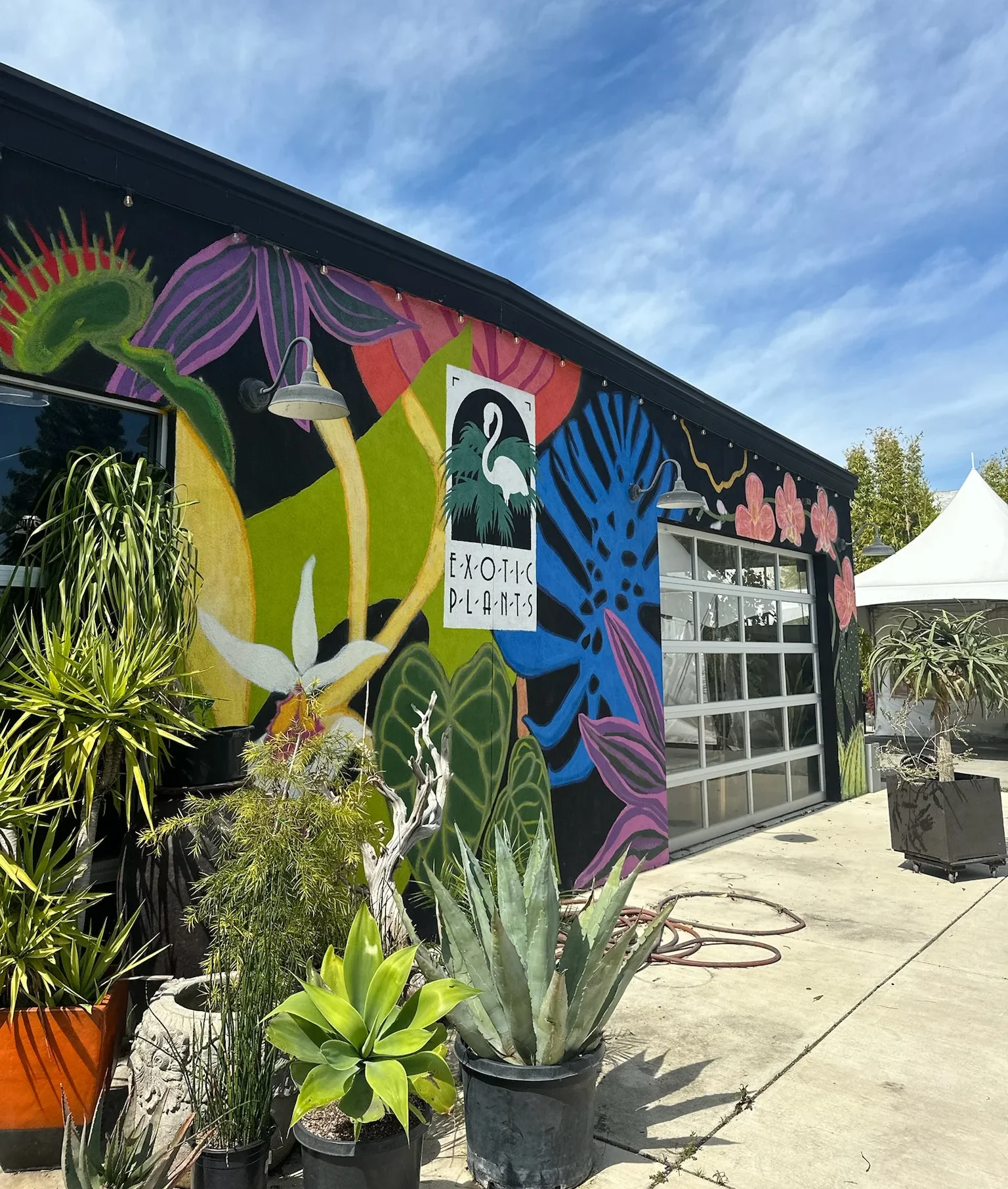 Exotic Plants Ltd